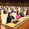 国会表决通过关于减免个人和企业所得税的国会决议。图自越通社 