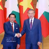 越共中央总书记、国家主席苏林同缅甸总统敏昂莱举行会谈 图自越通社