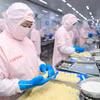 Cofidec 达到严格的国际标准，助力提升越南农林水产品在全球出口版图上的价值。图：越通社
