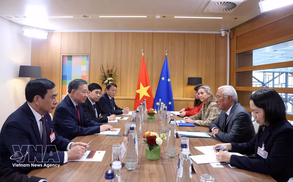 vnanet_potal-tong-bi-thu-chu-tich-nuoc-to-lam-hoi-dam-voi-chu-tich-hoi-dong-chau-au-9105865.jpg