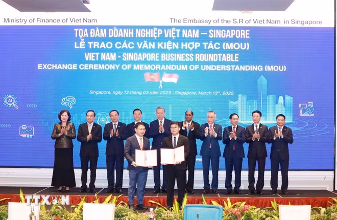 tong-bi-thu-to-lam-du-toa-dam-doanh-nghiep-viet-nam-singapore-1303-14.jpg