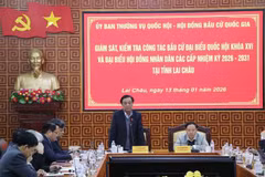 国会副主席黎明欢发表讲话。图自越通社