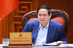 越南试点建设自由贸易区并打造榕桔国家能源中心