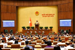 国会通过关于降低增值税税率的决议。图自越通社