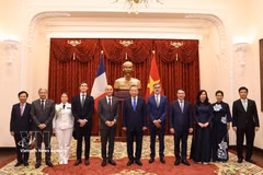 十国新任驻越大使向越共中央总书记、国家主席苏林递交国书