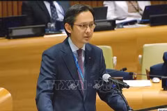 越南常驻联合国代表团团长杜雄越大使在会上发表讲话。图自越通社