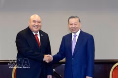 苏林总书记、国家主席在菲律宾会见部分组织和企业领导人