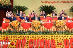 越南共产党高平省第20次代表大会主席团。图自越通社