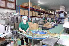 庆和省燕窝生产厂。图自越通社
