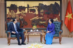 越共中央书记处书记、政府副总理范氏清茶会见中国驻越南大使何炜。图自chinhphu.vn