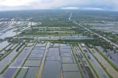 金瓯省将建设与深加工相结合的密集型原料区。图自越通社