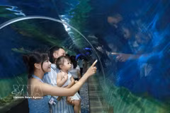 游客们在芽庄海洋学研究所了解海洋环境和生物。图自越通社