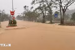 顺化部分道路被洪水淹没。图自越通社