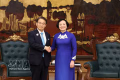 越共中央书记处书记、政府副总理范氏清茶会见日本爱知县知事大村秀章。图自越通社