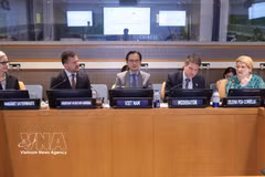 越南常驻联合国代表团团长杜雄越大使主持座谈会。图自越通社