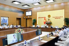 国会副主席阮克定发表讲话。图自越通社