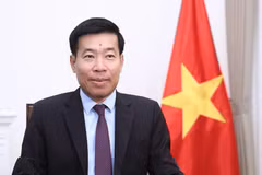 越共中央委员、外交部党委常务副书记、外交部副部长阮孟强。越南外交部供图