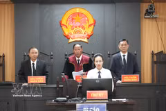 合议庭判处阮廷胜有期徒刑11年。图自越通社