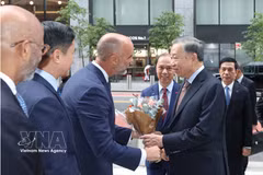 越共中央总书记、国家主席苏林造访辉瑞制药公司。图自越通社