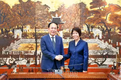 越南财政部副部长阮氏碧玉和中国国务院研究室副主任范必。图自《越南财政时报》