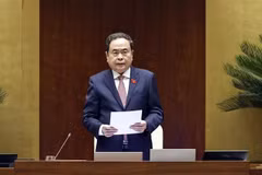 国会主席陈青敏发表讲话。图自越通社