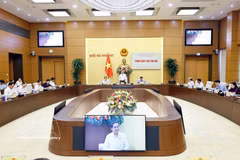 陈青敏主席：法律文件审查成果须即时转化为立法执法实践
