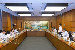 河内市国会代表分组讨论。图自越通社