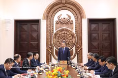 越共中央总书记、国家主席苏林向两名越南驻外大使颁发任命决定