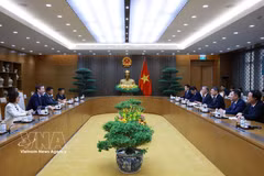 黎明兴总理：国际货币基金组织是越南战略政策咨询伙伴
