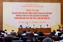 国会常务副主席杜文战发表讲话。图自越通社