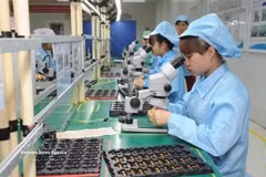 Vietonic公司工人在发货前对产品质量进行检验。图自越通社