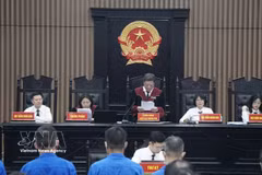 河内市人民法院一审公开开庭审理阮伯欢及其他27名被告。图自越通社