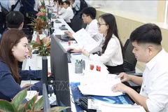 胡志明市公共行政服务中心工作人员接待市民和企业来办理行政手续。图自越通社