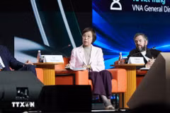 从核实到反驳：越通社在打击假新闻之战中