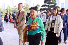 出席大会的代表。图自越通社
