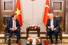 越南国会主席陈青敏会见土耳其大国民议会议长努曼·库尔图尔穆什。图自越通社