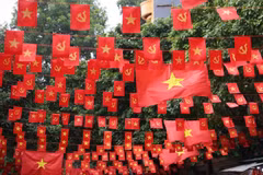 附图 图自Vietnam+
