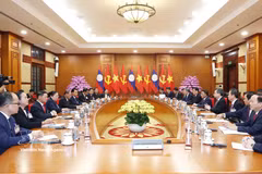 越共中央书记处常务书记陈锦秀与老挝人民革命党中央书记处常务书记维莱·拉坎丰举行会谈。图自越通社