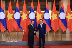 越南国会主席陈青敏会见老挝人民革命党中央书记处常务书记维莱·拉坎丰。图自越通社