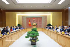 越南将继续为联合国事业作出积极、负责任的贡献