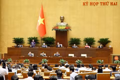 越南第十六届国会第二次会议：继续讨论经济社会形势