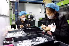 Cotec塑料有限责任公司。图自越通社