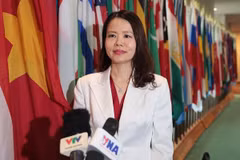 越南副外长阮明姮：联合国人权理事会成员选举结果彰显越南国际地位与声誉日益提升