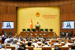 越南卫生部部长陶红兰在会上发表讲话。图自越通社
