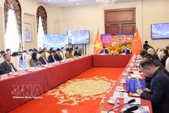 越中投资与经贸合作促进座谈会现场。图自越通社