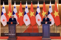 越共中央总书记、国家主席苏林与巴拿马总统穆利诺共同会见记者。图自越通社
