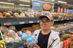 农产品出口在经济中起着作用日益重要，年均出口额达数百亿美元。图自越通社