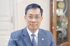 越南驻蒙古国大使阮俊青。图自越通社