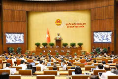 第十五届国会第九次会议：国会代表讨论若干重要议题