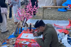 2025年“家乡之春”活动：在日本传播越南民族文化 